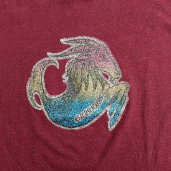 Vintage 70s 80s Single Stitch Glitter Graphic Capricorn Tee Small - Picture 3 of 9